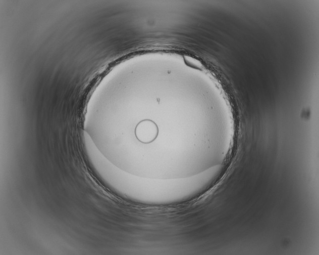 X0000115171449200912091012