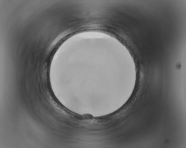 X0000115171450200912091012