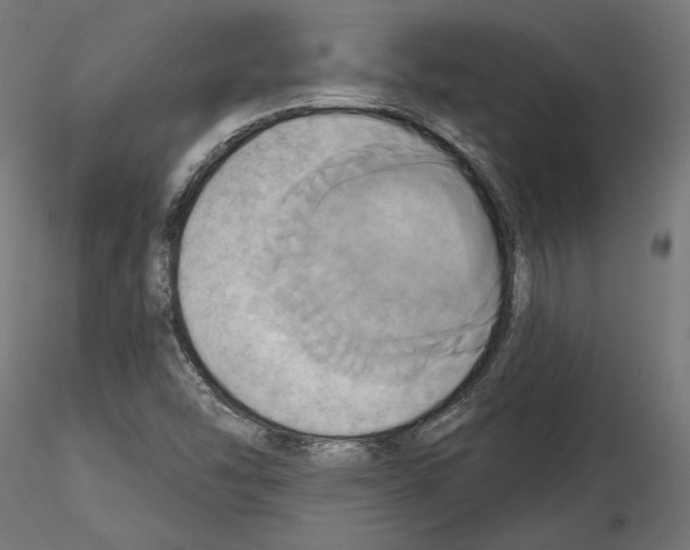 X0000115171454200912091012