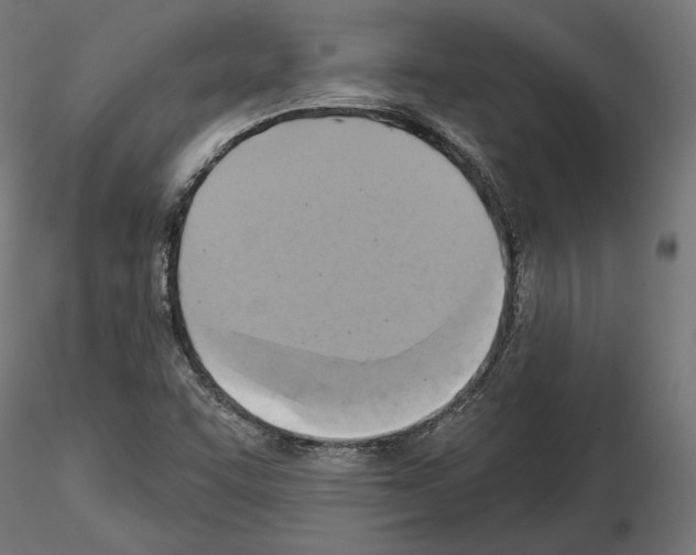 X0000115171455200912091012