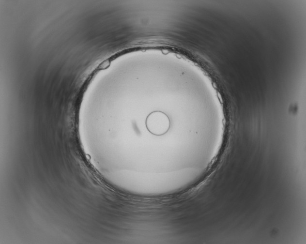 X0000115171457200912091012