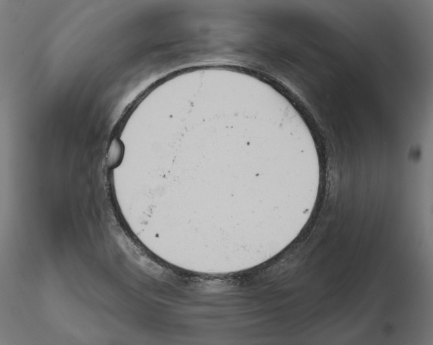 X0000115171460200912091012