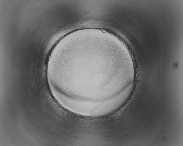 X0000115171461200912091012