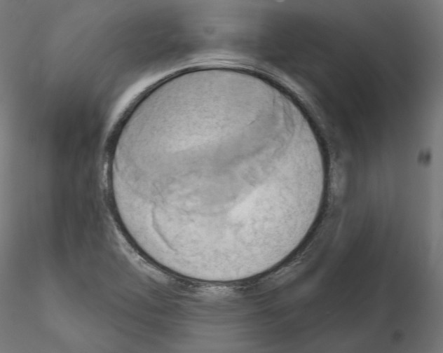 X0000115171462200912091012