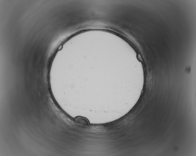 X0000115171464200912091012