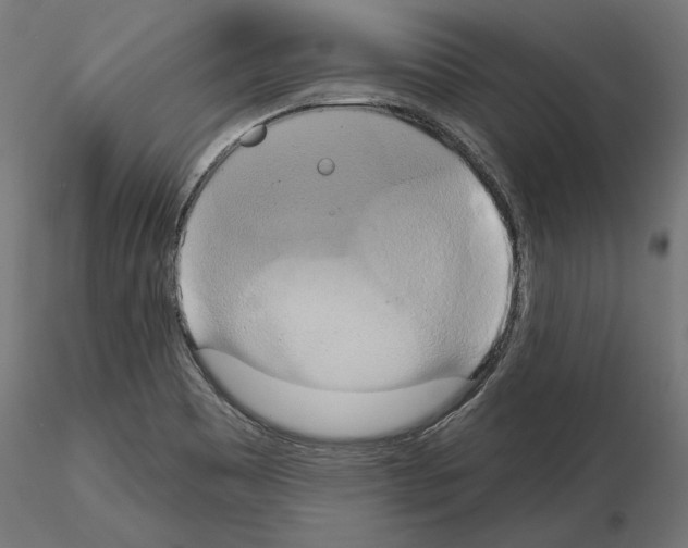 X0000115171465200912091012