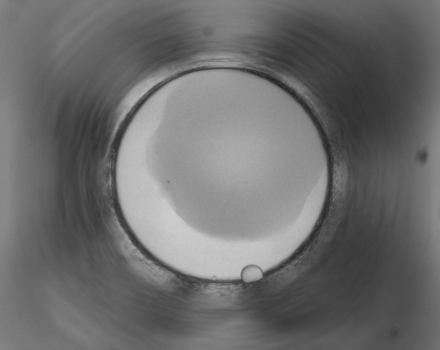 X0000115171466200912091012