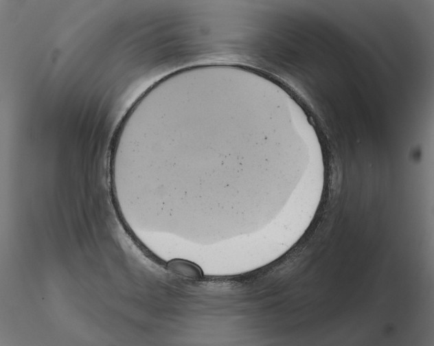 X0000115171468200912091012