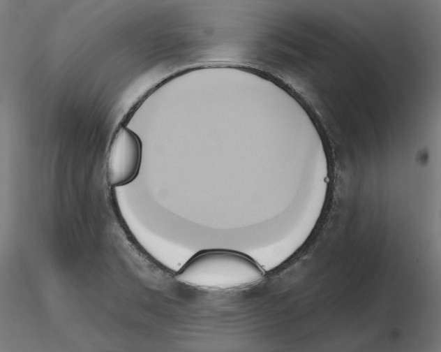 X0000115171469200912091012