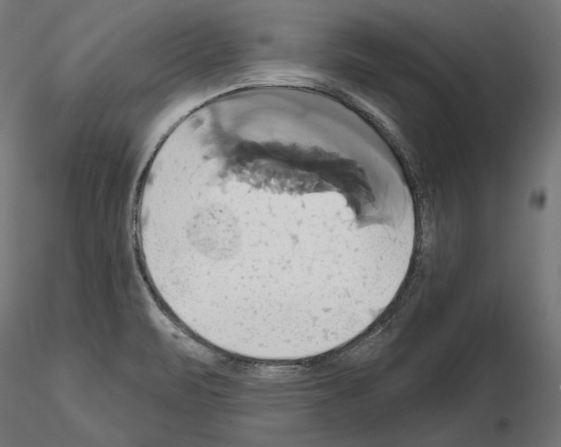 X0000115171471200912091012