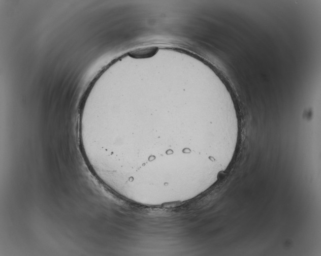 X0000115171472200912091012