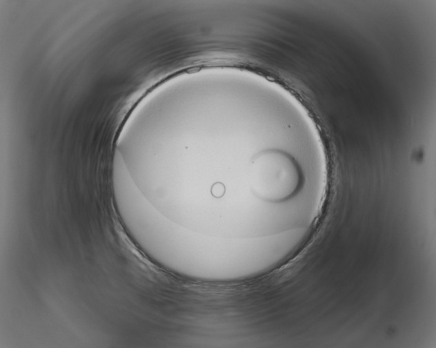 X0000115171473200912091012