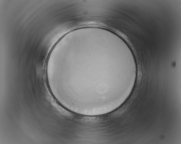 X0000115171474200912091012