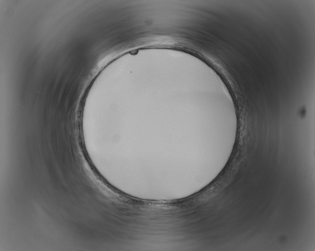 X0000115171475200912091012