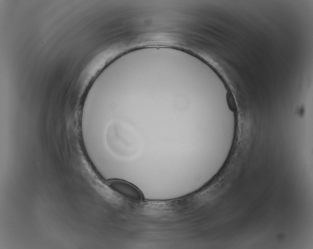 X0000115171477200912091012