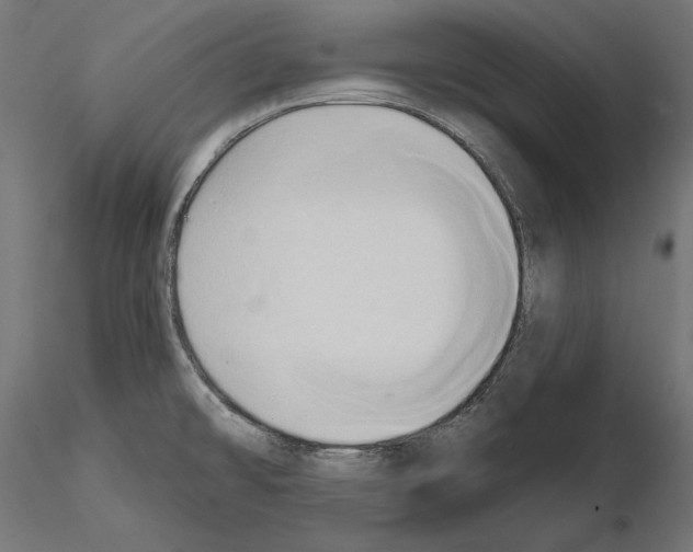 X0000115171478200912091012