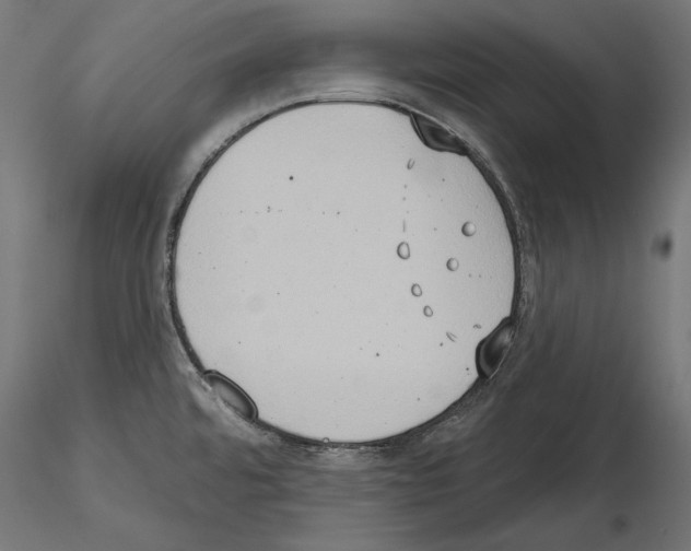 X0000115171480200912091011