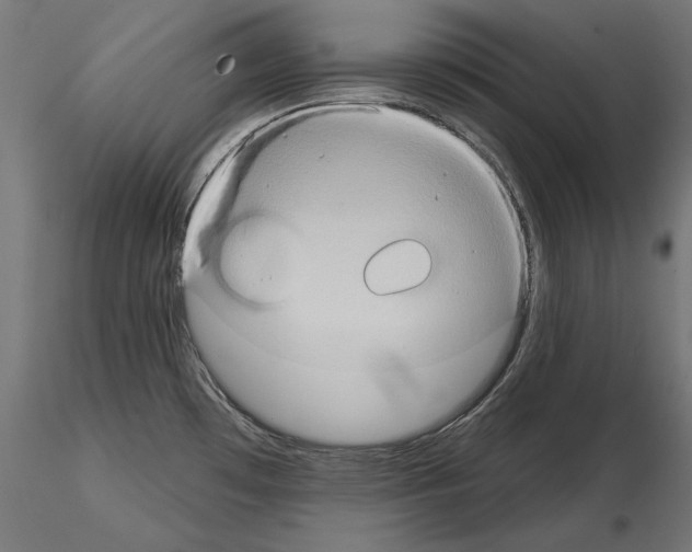 X0000115171481200912091011