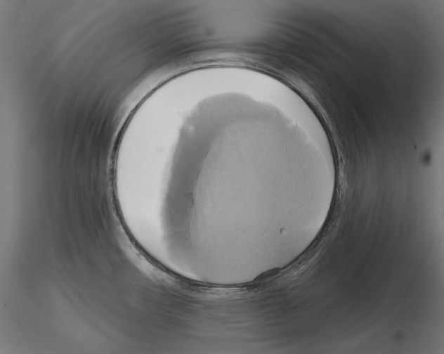 X0000115171482200912091011