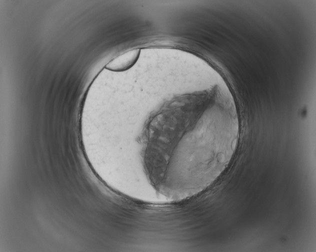 X0000115171483200912091011