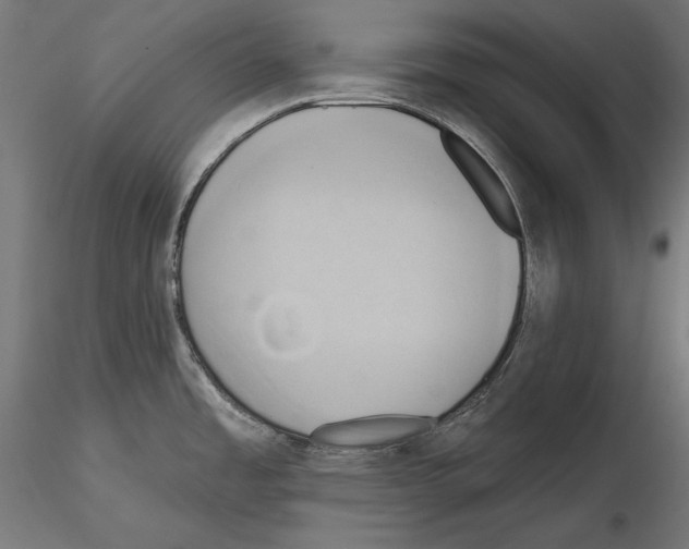 X0000115171485200912091011