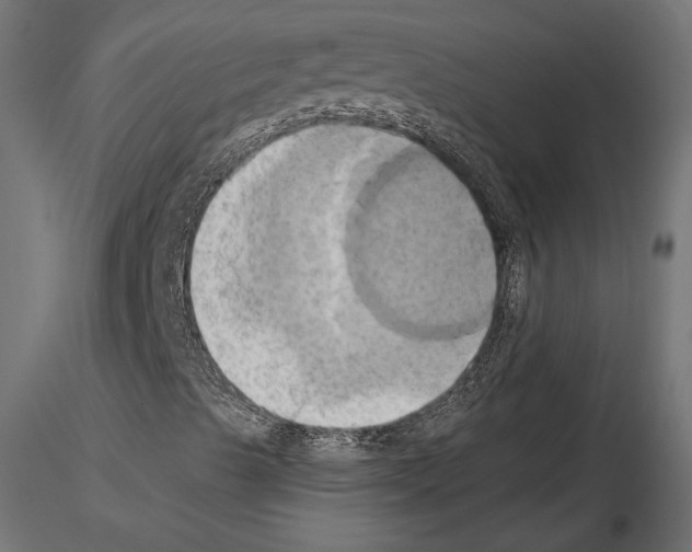 X0000115171489200912091011