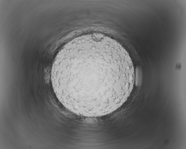 X0000115171491200912091011