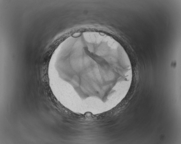 X0000115171494200912091011