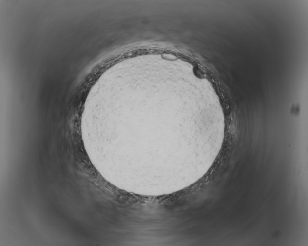 X0000115171495200912091011