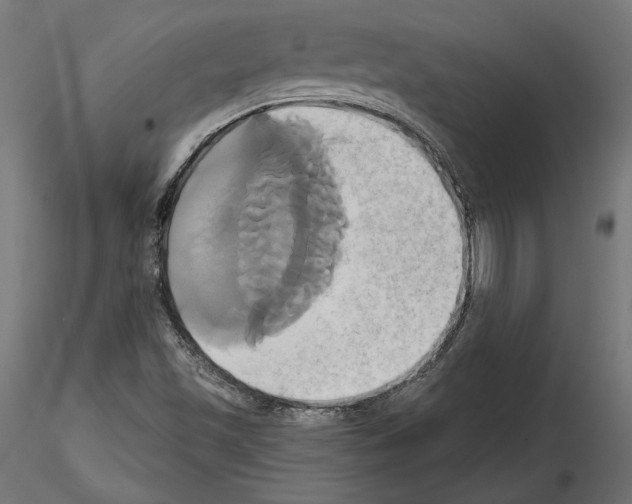 X0000115171501200912091011