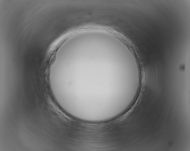 X0000115171502200912091011