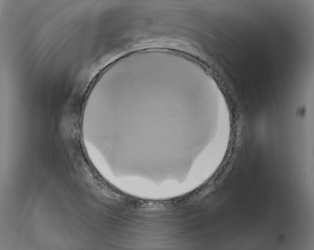 X0000115171505200912091011