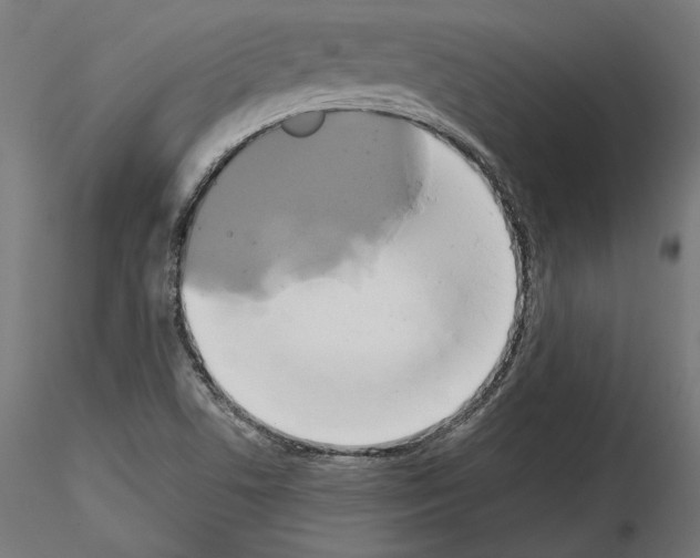 X0000115171506200912091011