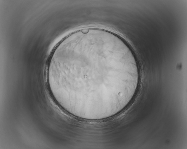 X0000115171510200912091011