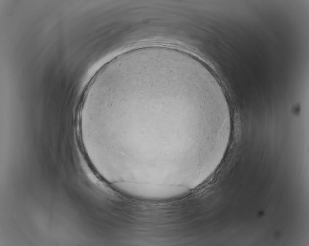 X0000115171515200912091011