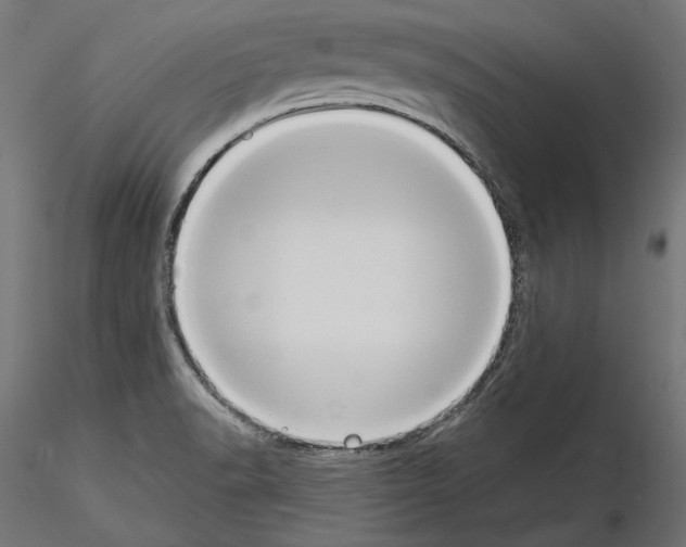 X0000115171518200912091011