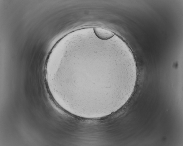 X0000115171519200912091011