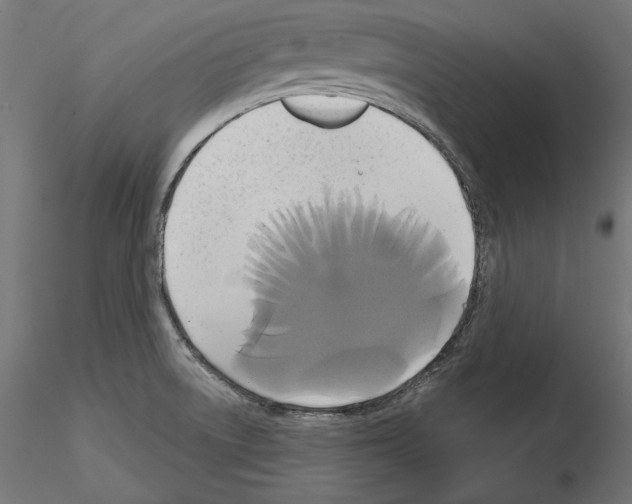 X0000115171522200912091011