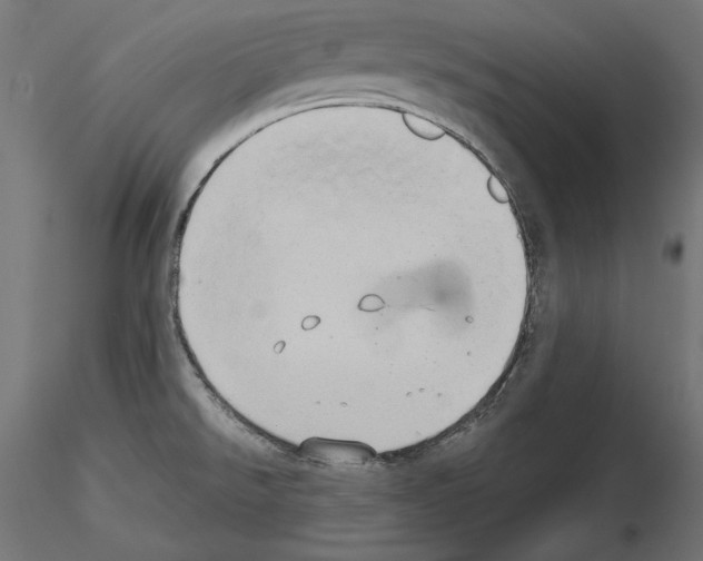 X0000115171526200912091011