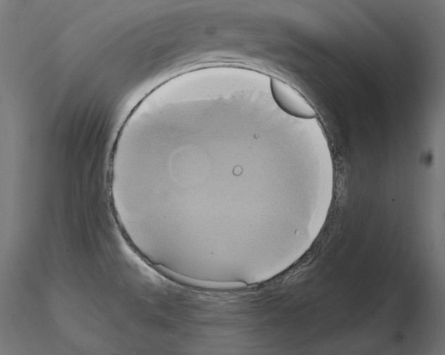 X0000115171527200912091011