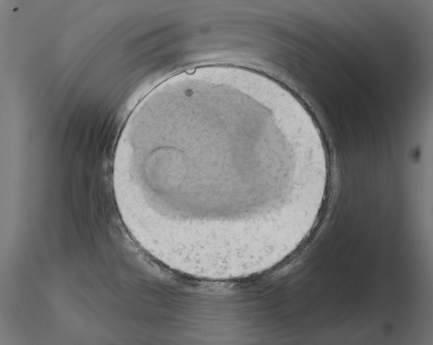 X0000115171529200912091011