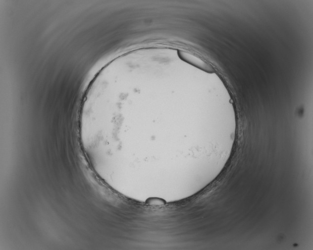 X0000115171530200912091011