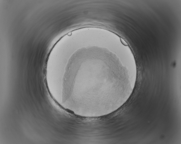 X0000115171531200912091011