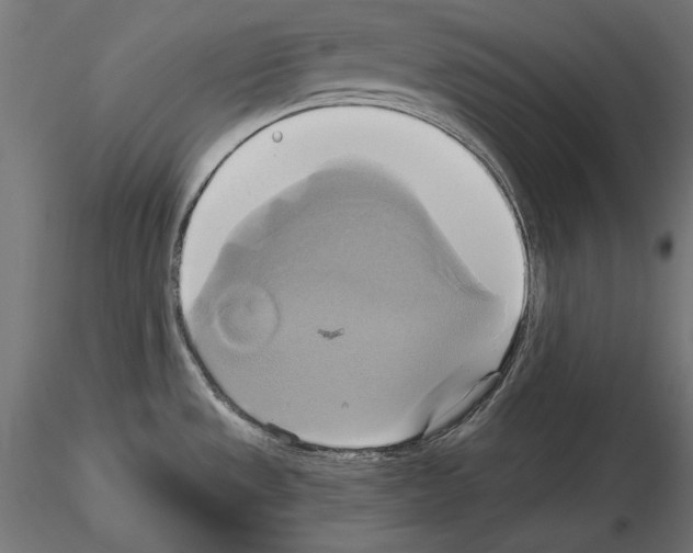 X0000115171533200912091011