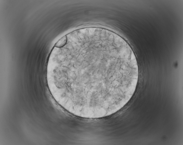 X0000115171534200912091011