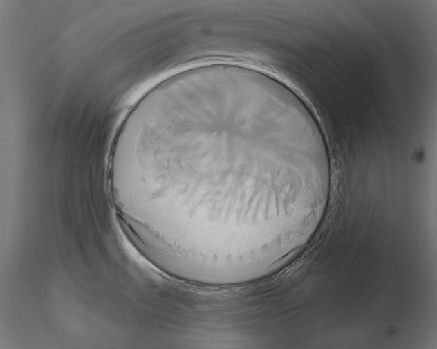 X0000115171535200912091011