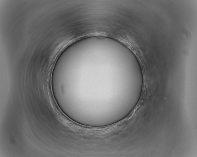 X0000115180001200911121811