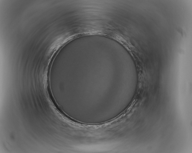 X0000115180002200911121811