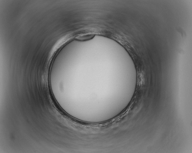 X0000115180004200911121811