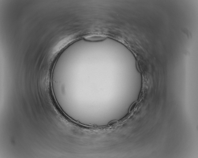 X0000115180005200911121811